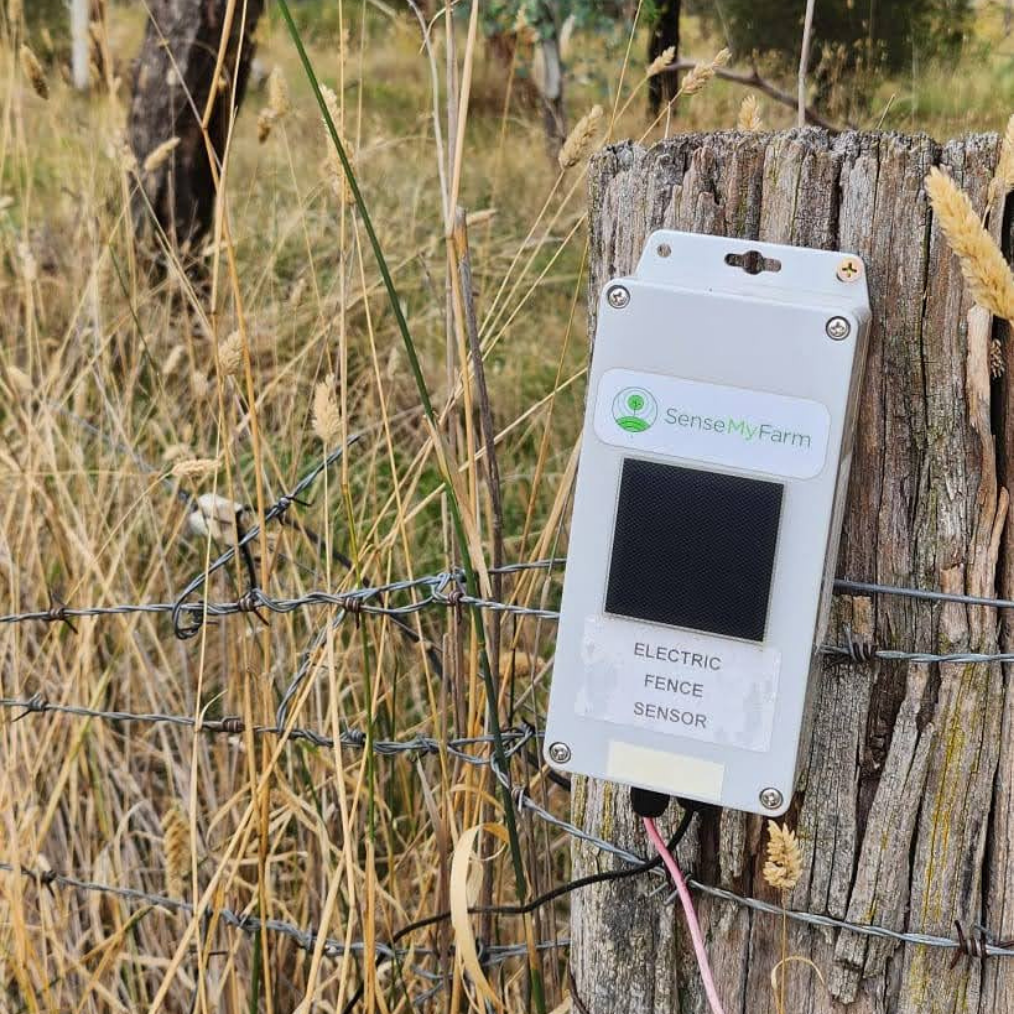 Electric Fence